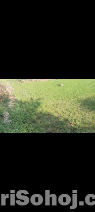 2.5 katha emergency sell